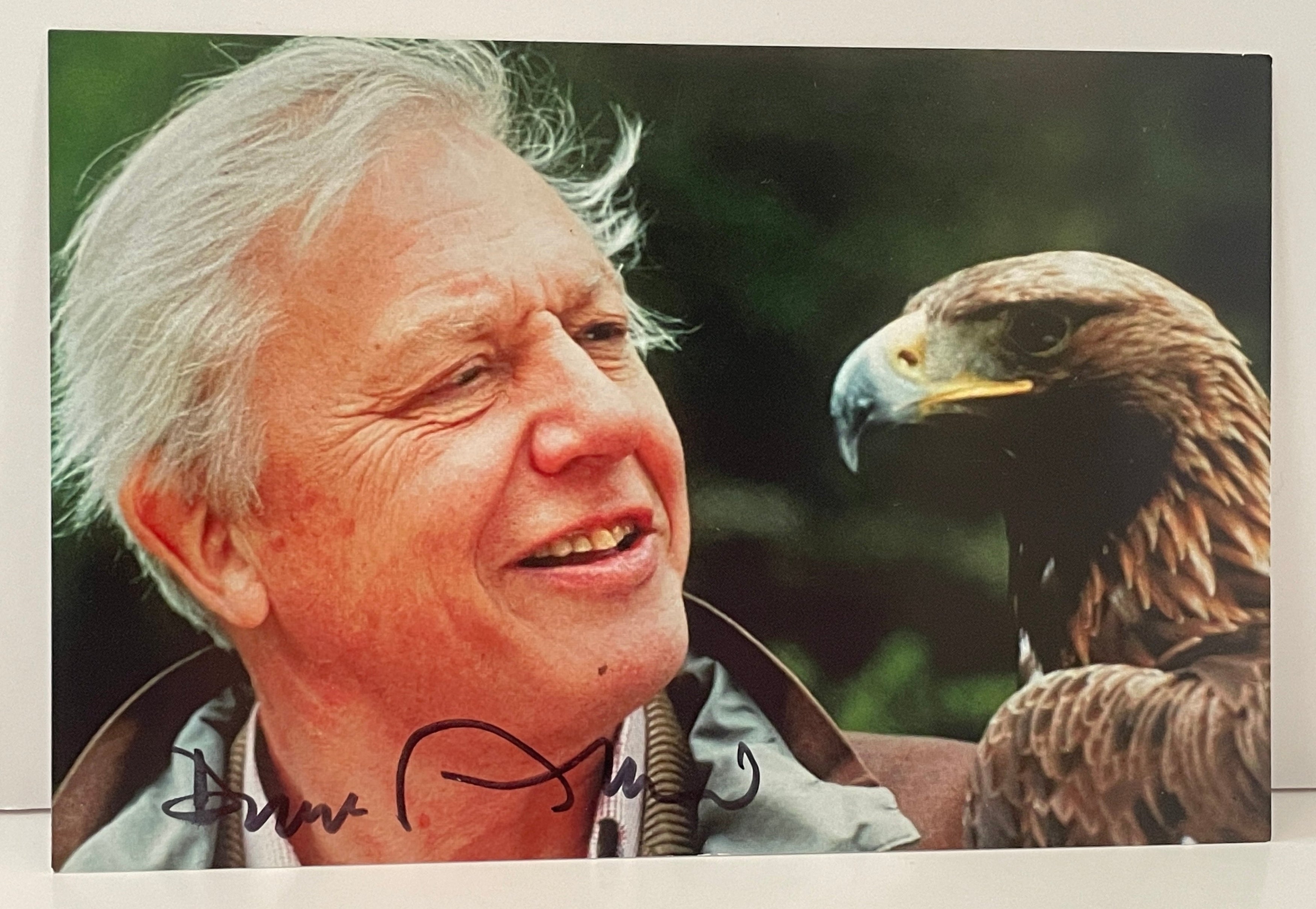 Interstellar Collectibles Inc - David Attenborough Signed Photo 1