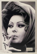 Interstellar Collectibles Inc - Sophia Loren Signed Photo 1