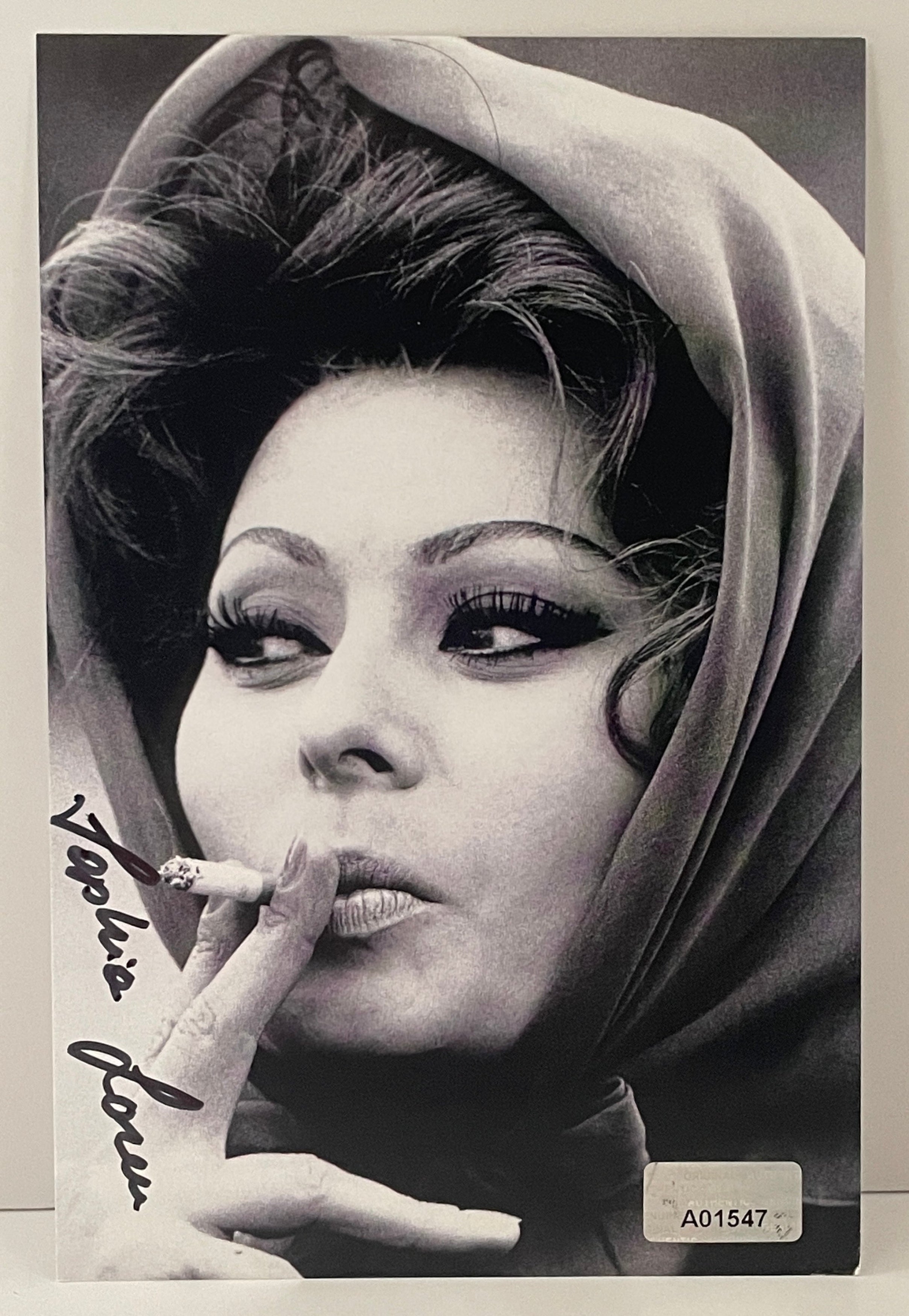 Interstellar Collectibles Inc - Sophia Loren Signed Photo 1