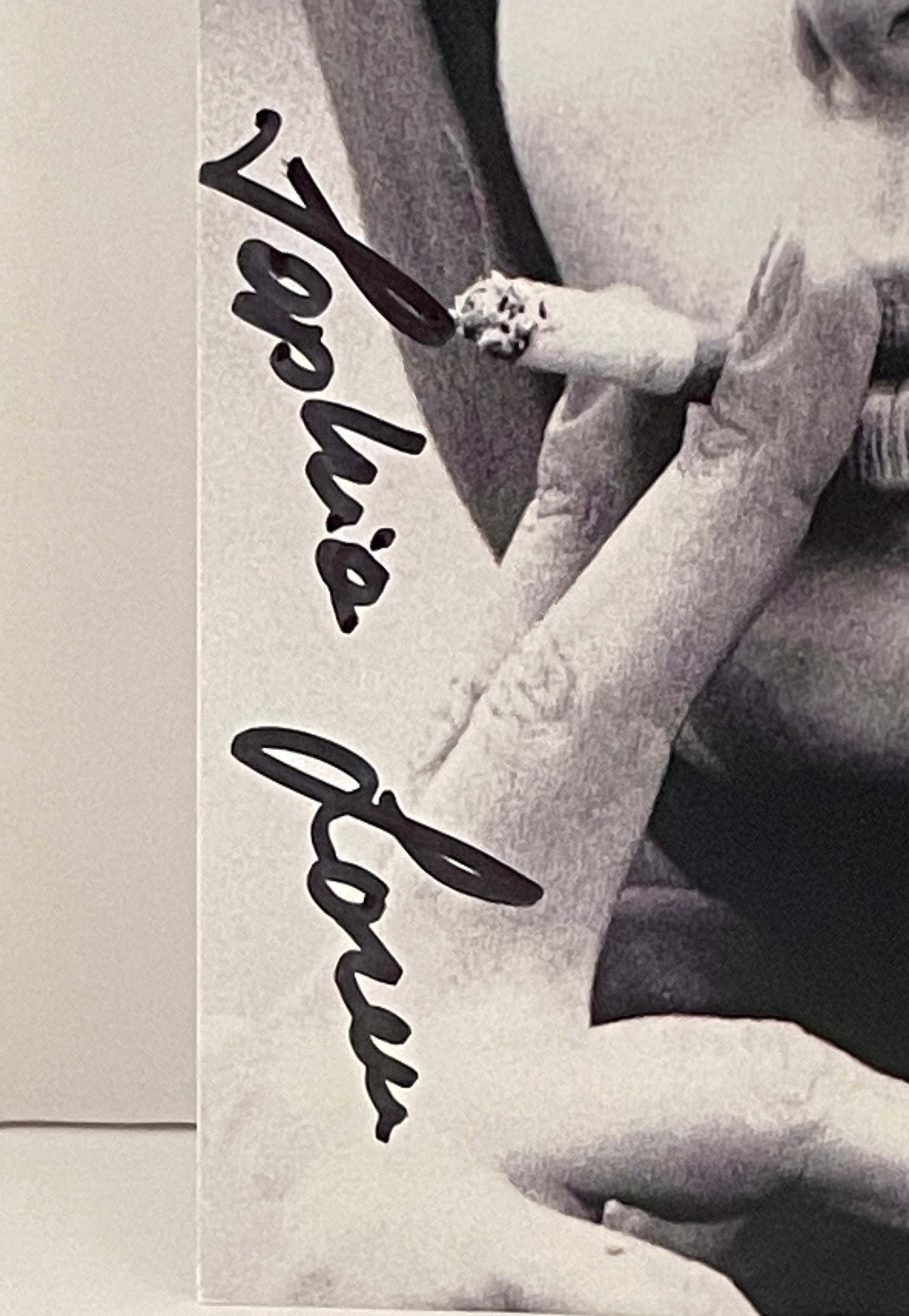 Interstellar Collectibles Inc - Sophia Loren Signed Photo 2