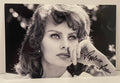 Interstellar Collectibles Inc - Sophia Loren Signed Photo 3