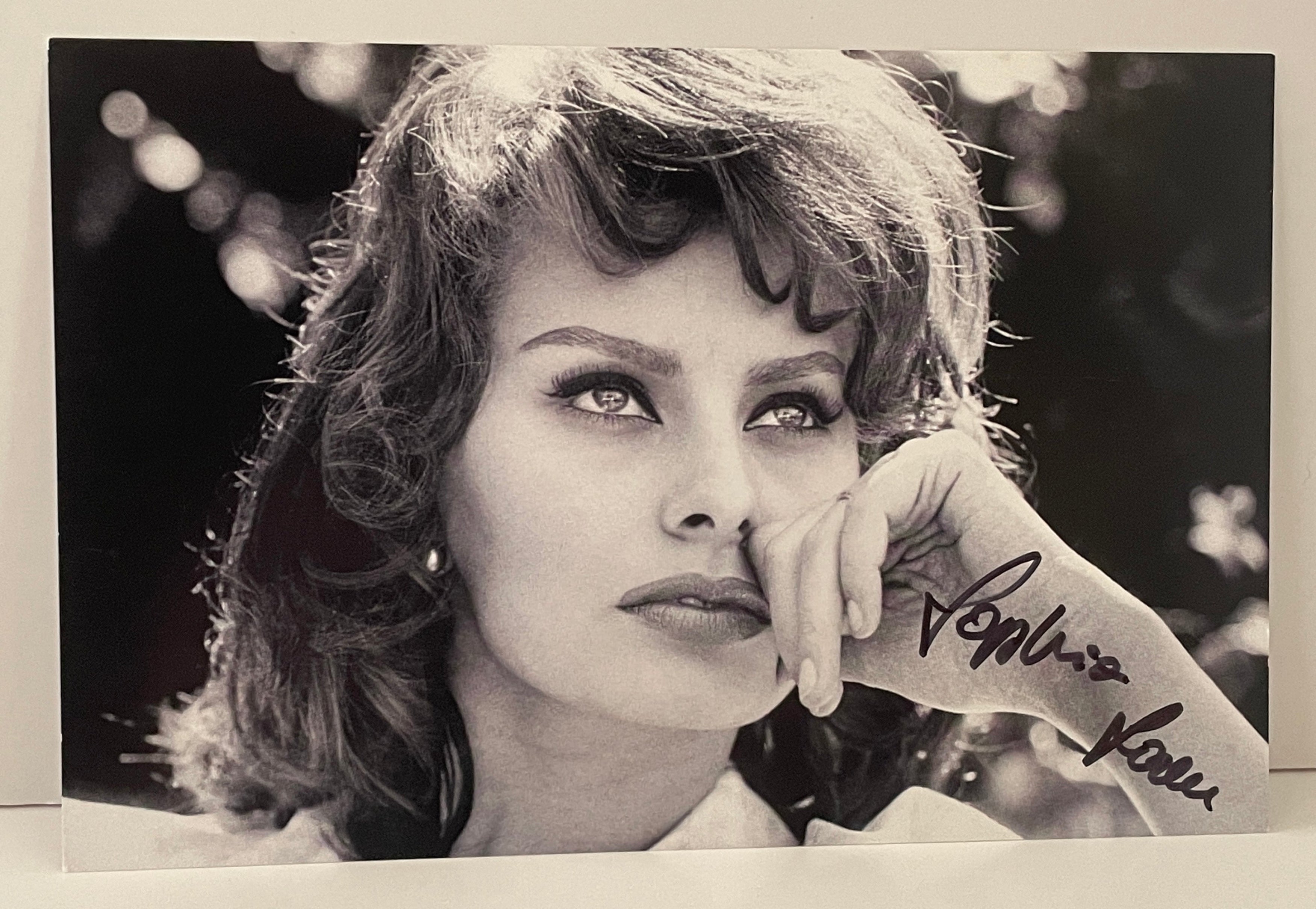 Interstellar Collectibles Inc - Sophia Loren Signed Photo 3